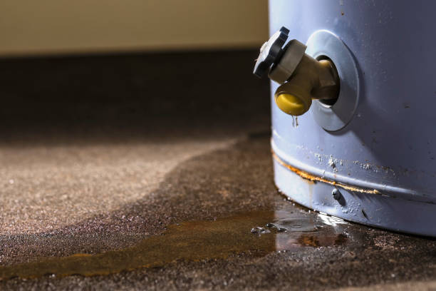 Best Water damage restoration specialists  in Geistown, PA