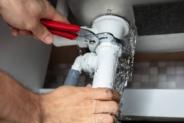 Best Water damage mitigation services  in Geistown, PA