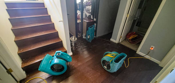 Best Water damage restoration cost  in Geistown, PA