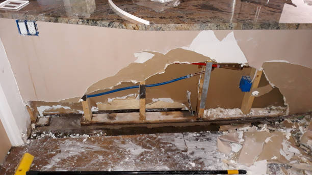 Best Flood damage cleanup  in Geistown, PA