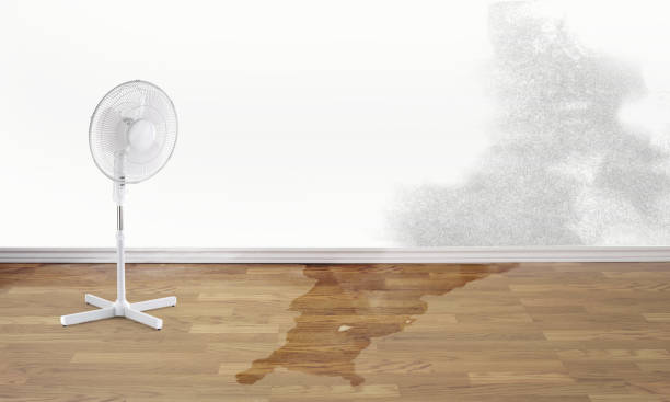 Best Water damage restoration company  in Geistown, PA