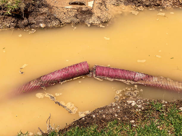 Best Water damage restoration near me  in Geistown, PA