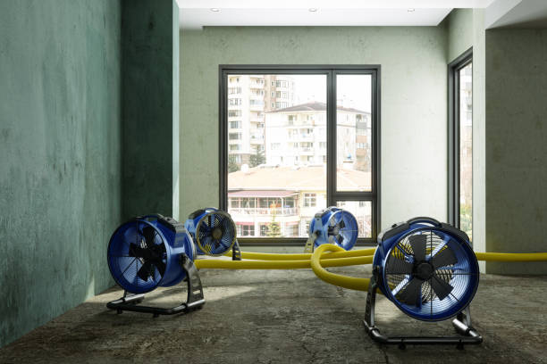 Best Carpet water damage restoration  in Geistown, PA
